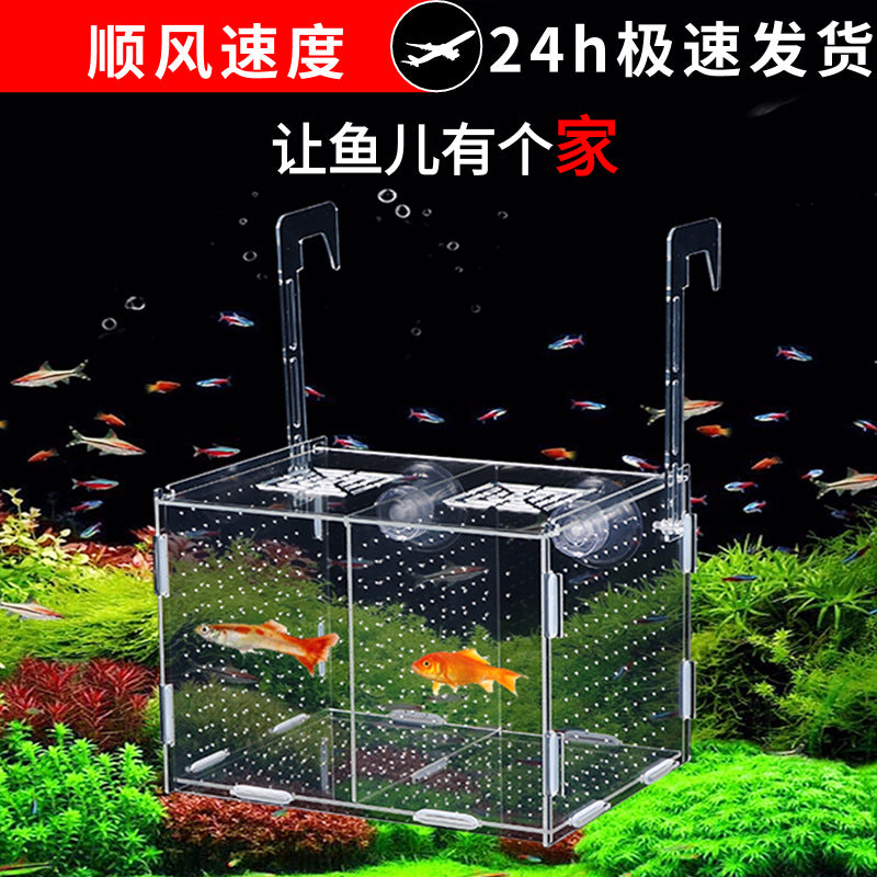 Acrylic Aquarium Isolation Box for Breeding and Fry Rearing