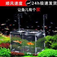 Acrylic Aquarium Isolation Box for Breeding and Fry Rearing