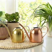 Stainless Steel Long Spout Watering Can for Indoor Plants, 500ml