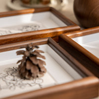 Wooden Shadow Box Picture Frame for DIY Crafts, Plant Specimens, and Artwork Display