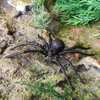 Realistic Insect Animal Model Black Widow Spider Mosquito Kids Toy Prank Ornament