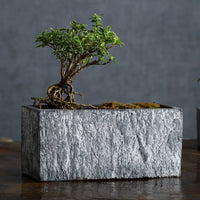 Weilu Creative Nordic Rectangular Imitation Stone Cement Planter for Indoor Plants