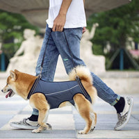Dog Rear Leg Support Harness for Injured, Disabled, or Elderly Dogs - Waterproof Pet Mobility Aid