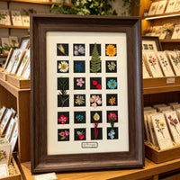 Wooden 3D Display Frame A4 with 24 Grids for Pressed Plants, Insect Specimens, DIY Mounting