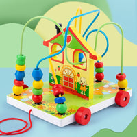 Wooden Educational Animal Bead Maze for Toddlers and Kids 2-6 Years Old