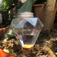 Self-Watering Plant Spikes for Indoor/Outdoor Potted Plants - Automatic Drip Irrigation System