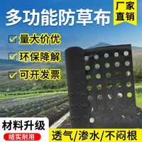 Perforated Weed Barrier Fabric Roll for Agriculture and Gardening, Breathable, Thickened, Anti-Aging Ground Cover