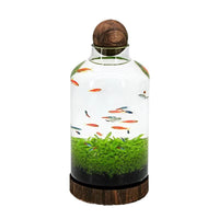 Japanese Style Thickened Glass Fish Tank with Wooden Base, Creative Ecological Bottle for Hydroponics