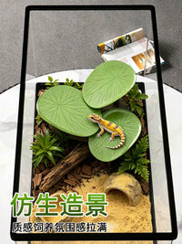 Acrylic Reptile Terrarium with Lid for Lizards, Geckos, and Turtles - Dual-Use Aquatic and Terrestrial Habitat