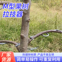 M-Type Fruit Tree Branch Spreader for Shaping and Fixing Branches