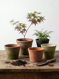 Terracotta Clay Planter Pot for Succulents and Orchids, Breathable Vintage Style