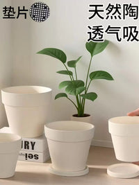 Breathable Terracotta Planter Pot for Succulents Orchids Green Plants, Minimalist Design with Drainage Tray Option