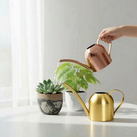 Stainless Steel Long Spout Watering Can for Indoor Plants, 500ml