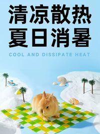 Pet Cooling Mat for Rabbits, Hamsters, Chinchillas, and Guinea Pigs - Summer Heat Relief Ice Pad