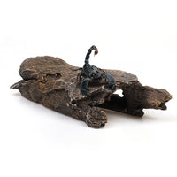 Reptile Hideaway Cave and Basking Platform for Lizards, Geckos, Spiders, and Scorpions