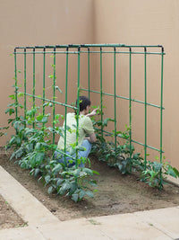 Garden Trellis for Climbing Plants, Vegetables, Tomatoes, Beans, and Flowers - Plant Support Frame