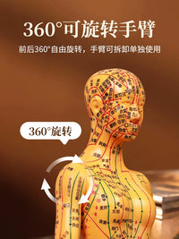 Acupuncture Meridian Human Body Model with Acupoints, Soft Rubber for Needle Practice