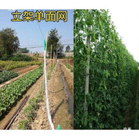 Plant Climbing Net for Yams, Beans, Melons and Passion Fruit Trellis Support