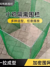 Foldable Galvanized Frame Poultry and Rabbit Enclosure with Green Plastic Mesh