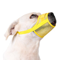 Breathable Anti-Bite Dog Muzzle for Medium to Large Dogs, Prevents Barking and Chewing, Allows Drinking