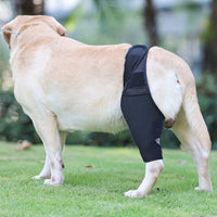 Pet Dog Leg Support Harness for Rehabilitation and Protection - Neoprene Thigh Brace for Injured or Weak Dogs
