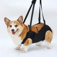 Dog Lift Harness for Senior, Injured, or Disabled Dogs - Adjustable Support Sling for Rehabilitation and Mobility