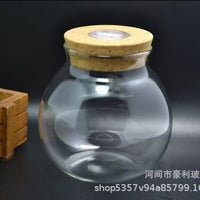 Borosilicate Glass Desktop Ecosystem Bottle with LED Light Hydroponic Vase Micro Landscape Fish Tank