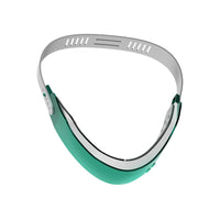 EMS Microcurrent Facial Massager with Red & Blue Light Therapy for Skin Rejuvenation and Lifting