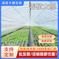Q235B Galvanized Steel Greenhouse Frame Tubes for Vegetable, Aquaculture, and Ginger Cultivation
