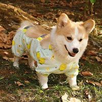 Waterproof Reflective Dog Belly Bib Anti-Fouling Pants for Small to Medium Dogs Outdoor Walking