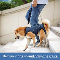 Dog Mobility Harness for Injured, Disabled, or Senior Dogs - Walking and Lifting Aid