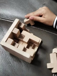 3D Interlocking Brain Teaser Puzzle Cube for Kids and Adults