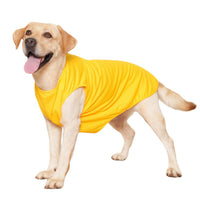 Breathable Mesh Dog Vest for Large Dogs - Summer Sun Protection Pet Apparel