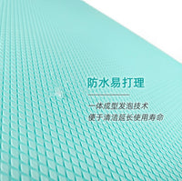 TPE Balance Pad for Yoga, Pilates, and Rehabilitation - Thick Foam Mat for Core Training