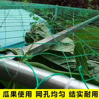 Heavy-Duty Plant Climbing Net for Passion Fruit, Loofah, and Other Vining Plants - Garden Trellis Netting for Fruits and Vegetables
