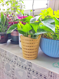 Orchid Hanging Planter Basket with High Transparency Plastic Pot for Indoor and Outdoor Use