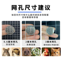 Galvanized Wire Mesh Fence for Poultry, Garden, and Pest Control