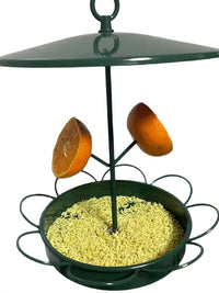 Outdoor Hanging Metal Bird Feeder for Fruit and Seeds