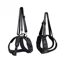 Pet Dog Support Harness for Injured, Disabled, or Elderly Dogs and Cats - Front/Rear Leg Assist