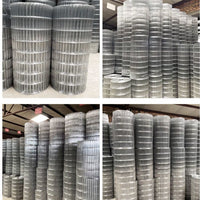 Galvanized Iron Wire Mesh for Bird Cages and Flower Pots, Rust-Proof, Encrypted Breeding Net for Indoor Use
