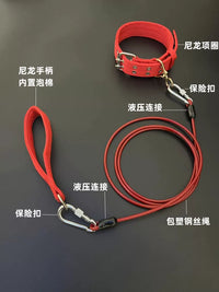 Heavy-Duty Anti-Bite Dog Leash with Collar for Medium to Large Dogs