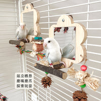 Parrot Mirror Toy with Perch for Cockatiels Budgies Lovebirds, Chewing String, Grinding Claw Stand