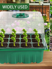 Tall Thick Seedling Starter Tray with Dome Lid and Base for Cuttings and Succulents