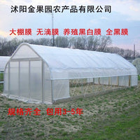 Agricultural PE Greenhouse Film for Cultivation and Farming - Anti-Aging, High Transparency, Strong