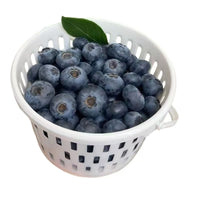 Orchard Fruit Picking Baskets with Handle and Lid for Cherries & Strawberries, 1-2 lb Capacity