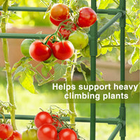 Heavy-Duty Square Tomato Cages for Garden Plants, Steel Plant Support Stakes for Climbing Vegetables