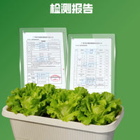 Self-Watering Planter Box for Vegetables, Fruits, and Herbs - Durable Resin Material