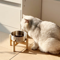 Elevated Stainless Steel Pet Bowl with Wooden Stand for Cats and Small Dogs, Large Capacity, Anti-Tip Design, Neck Protection