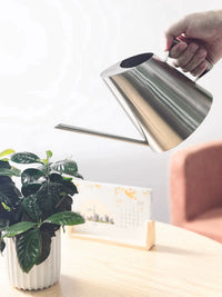 Stainless Steel Long Spout Watering Can for Indoor Plants and Succulents, Small Household Potting Kettle