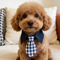 Pet Plaid Bandana Collar with Adjustable Tie for Cats and Small Dogs, Gentleman Style Photo Prop